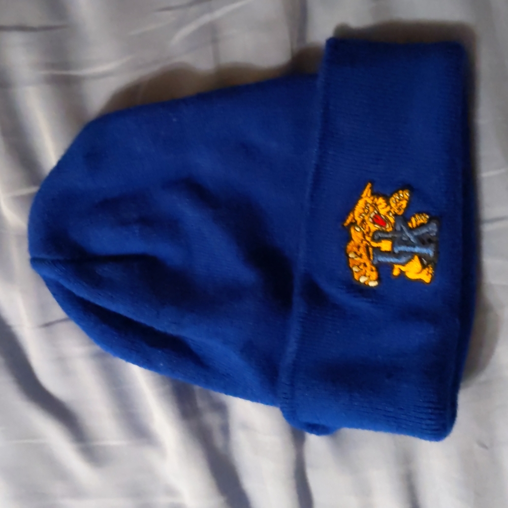 ⭐ Vintage Kentucky Wildcats winter hat